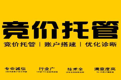SEM推广技巧：成功案例深度剖析